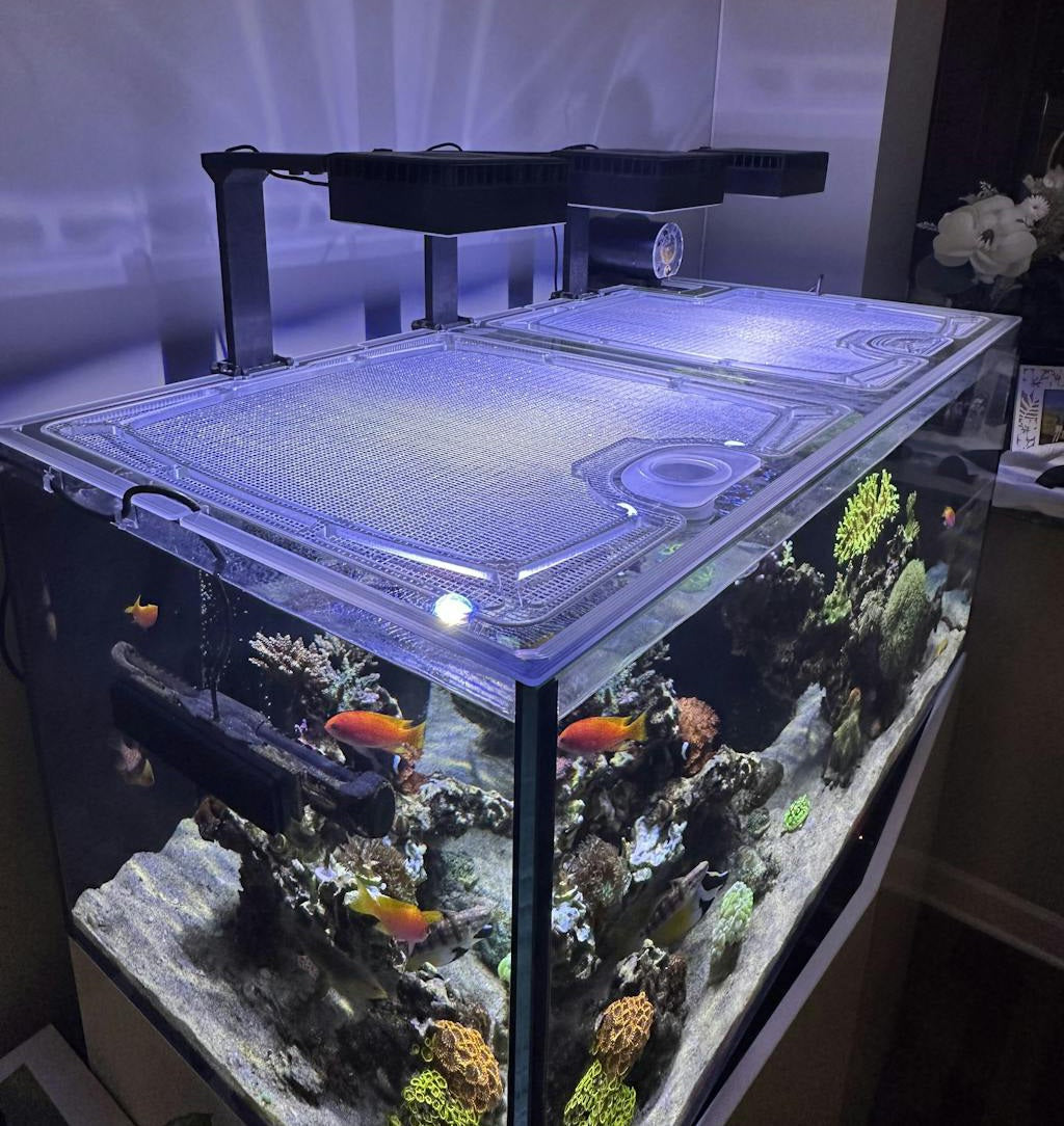 Neptunian Cube aquarium top lid product image 1