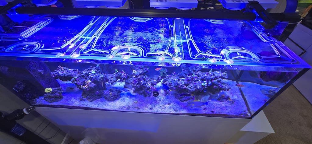 Pro Clear ProStar 230 Peninsula Overflow Custom Polycarbonate Aquarium Screen Top Lid