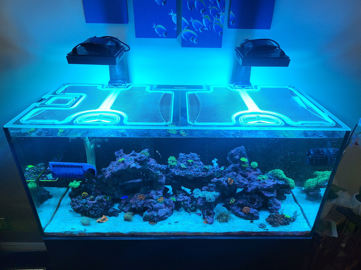Waterbox Aquariums aquarium top lid product image 6