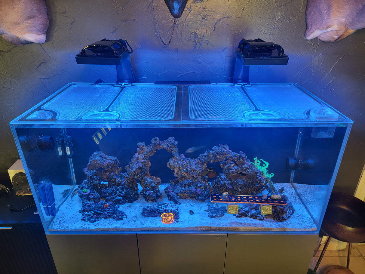 NYOS aquarium top lid product image 3