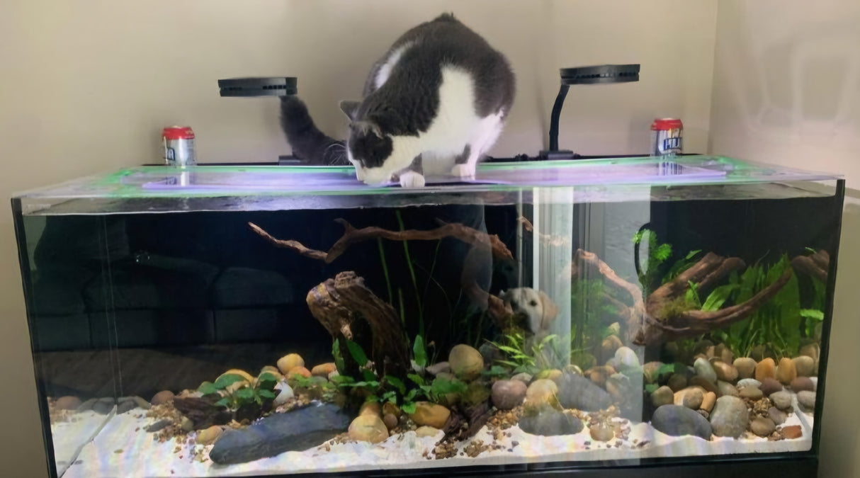 TopLids aquarium top lid product image 3