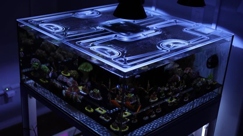 UNS (Ultum Nature Systems) aquarium top lid product image 1