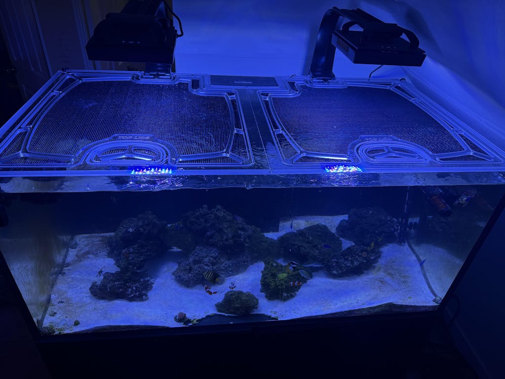 Waterbox Aquariums aquarium top lid product image 2