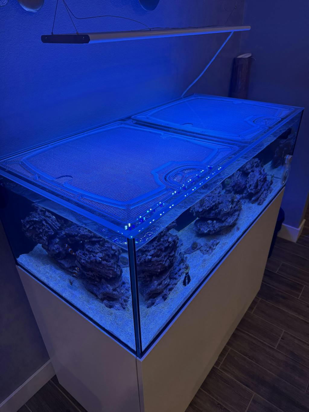 Fiji Cube 76 Gallon Shallow Internal Overflow Rimless Polycarbonate Screen Top Lid