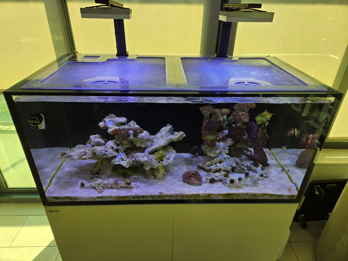 Red Sea Reefer 625 G3 (Black Eurobrace Version) Custom Polycarbonate Aquarium Screen Top Lid