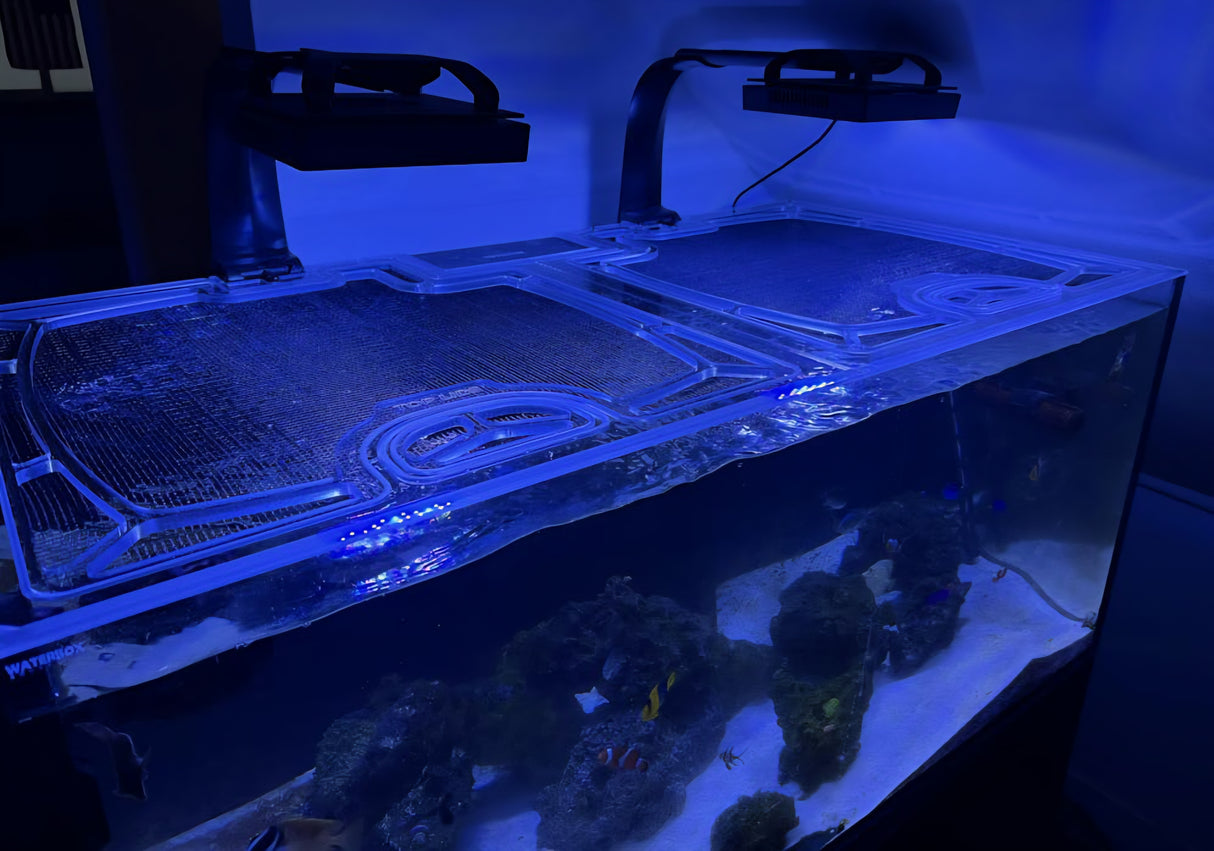 Waterbox Aquariums aquarium top lid product image 3