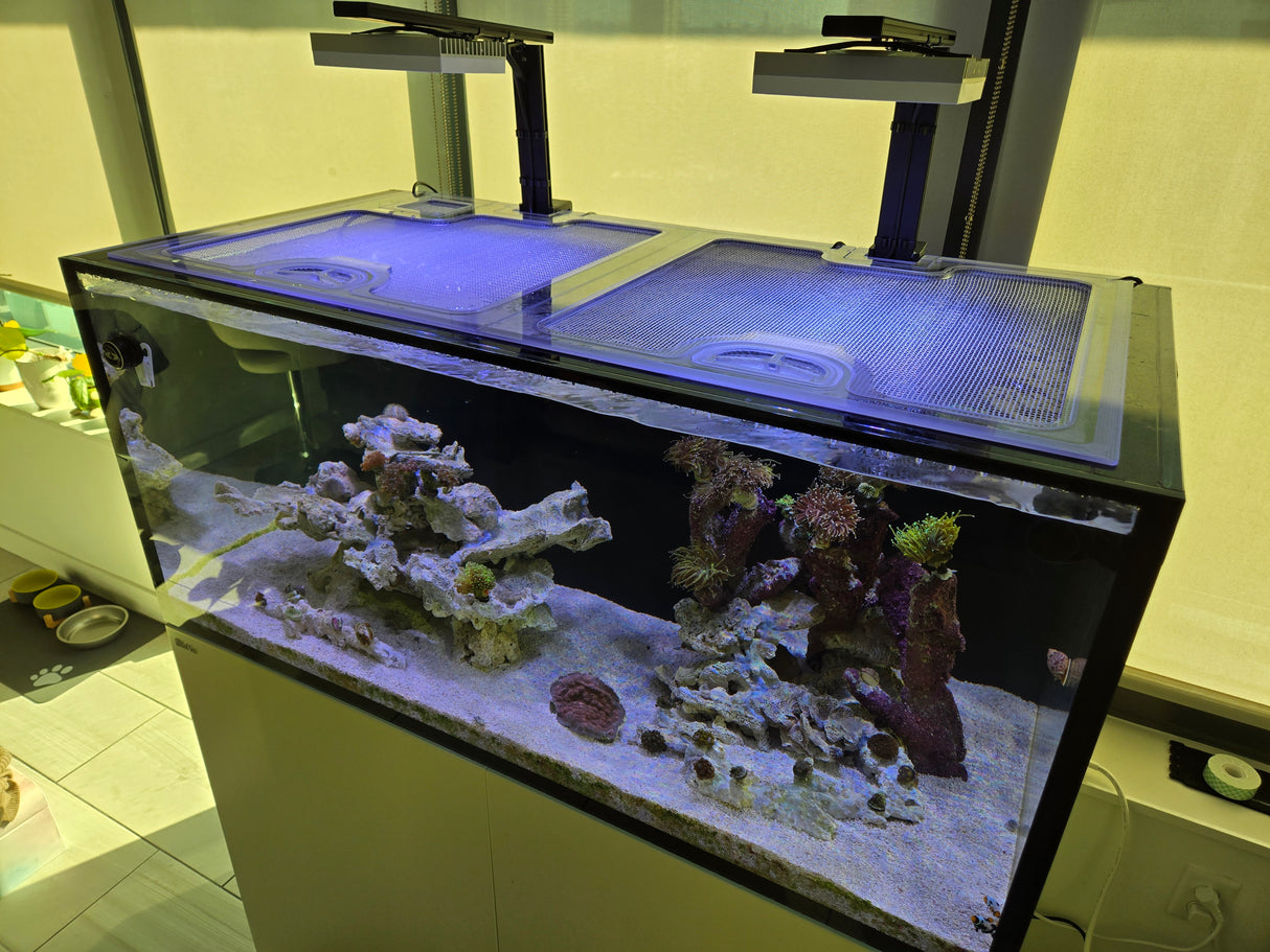 Red Sea Reefer 625 G3 (Black Eurobrace Version) Custom Polycarbonate Aquarium Screen Top Lid