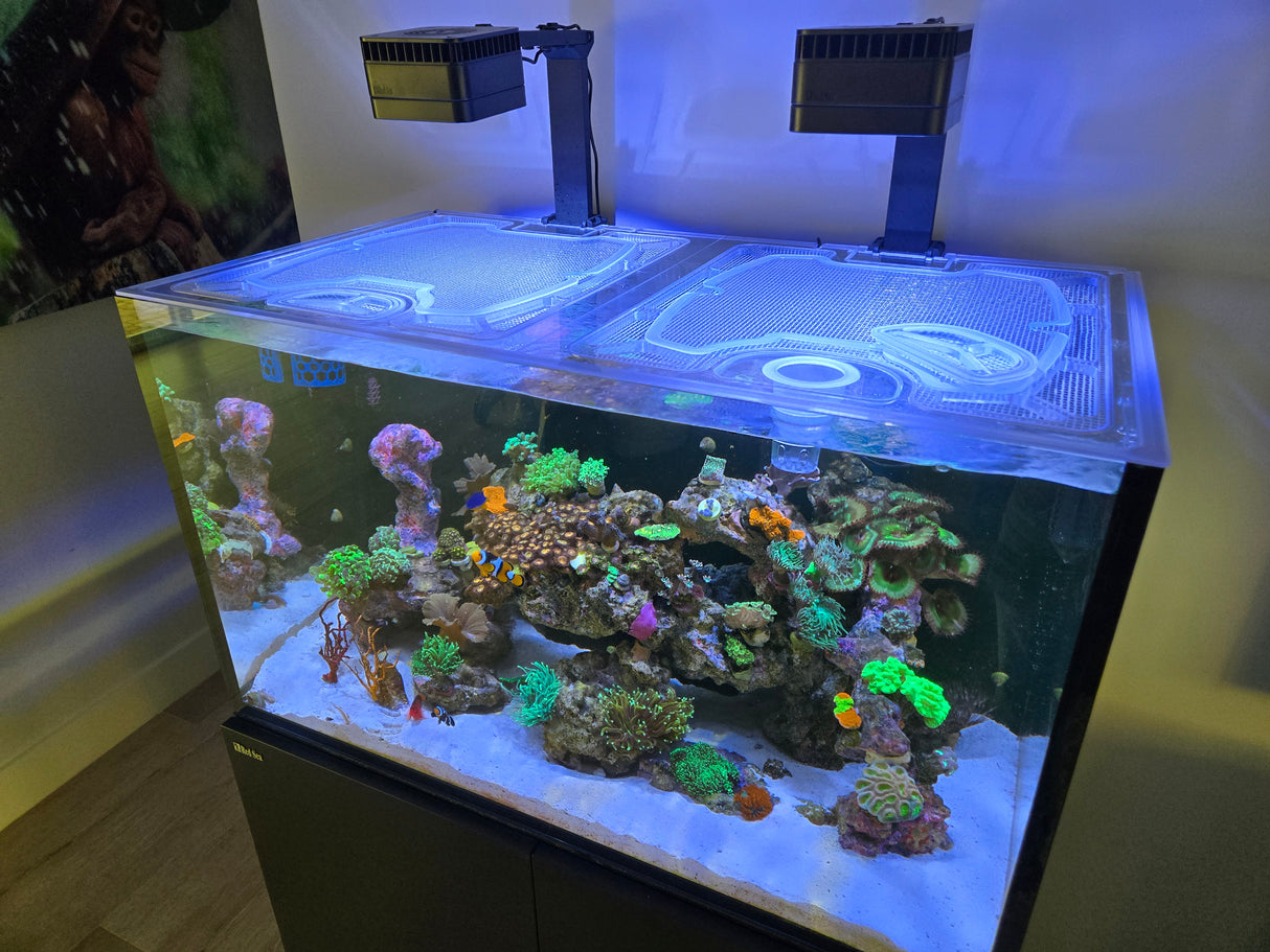 Planet Aquariums OceanVue Edge 70 Gallon Reef Polycarbonate Screen Top Lid