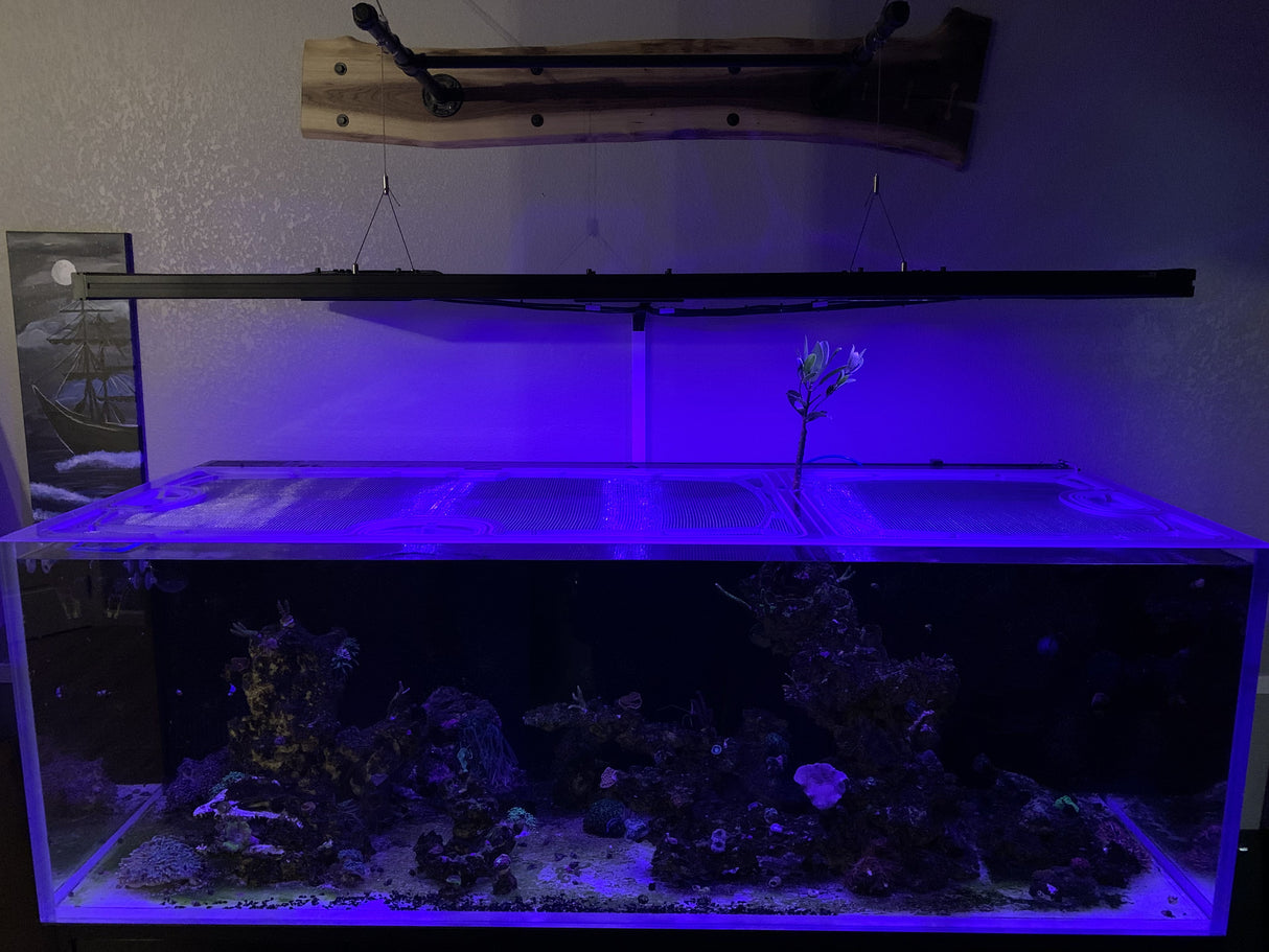 TopLids aquarium top lid product image 5