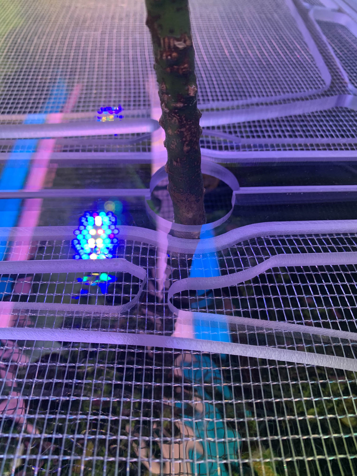 TopLids aquarium top lid product image 3