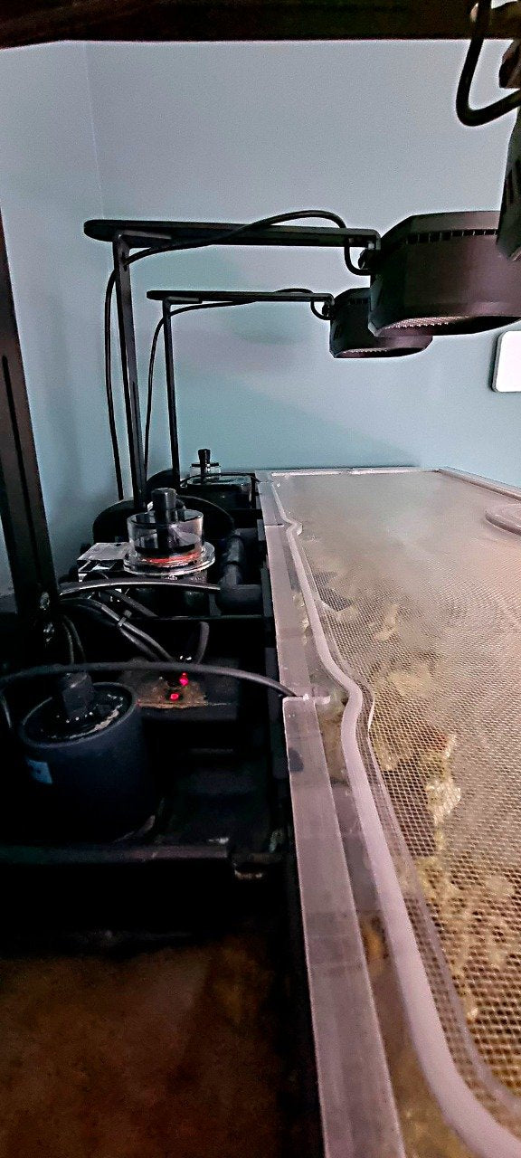 TopLids aquarium top lid product image 8