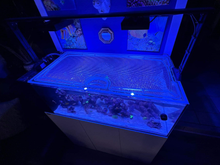 Load image into Gallery viewer, Waterbox AIO Peninsula 50.3 Custom Polycarbonate Aquarium Screen Top Lid

