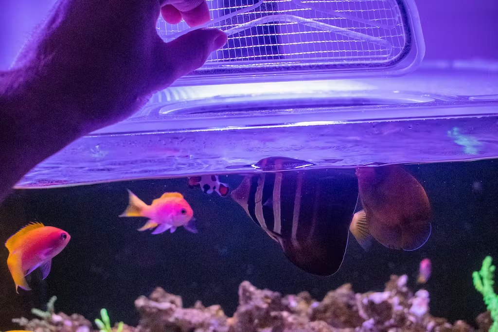 Waterbox Aquariums aquarium top lid product image 5