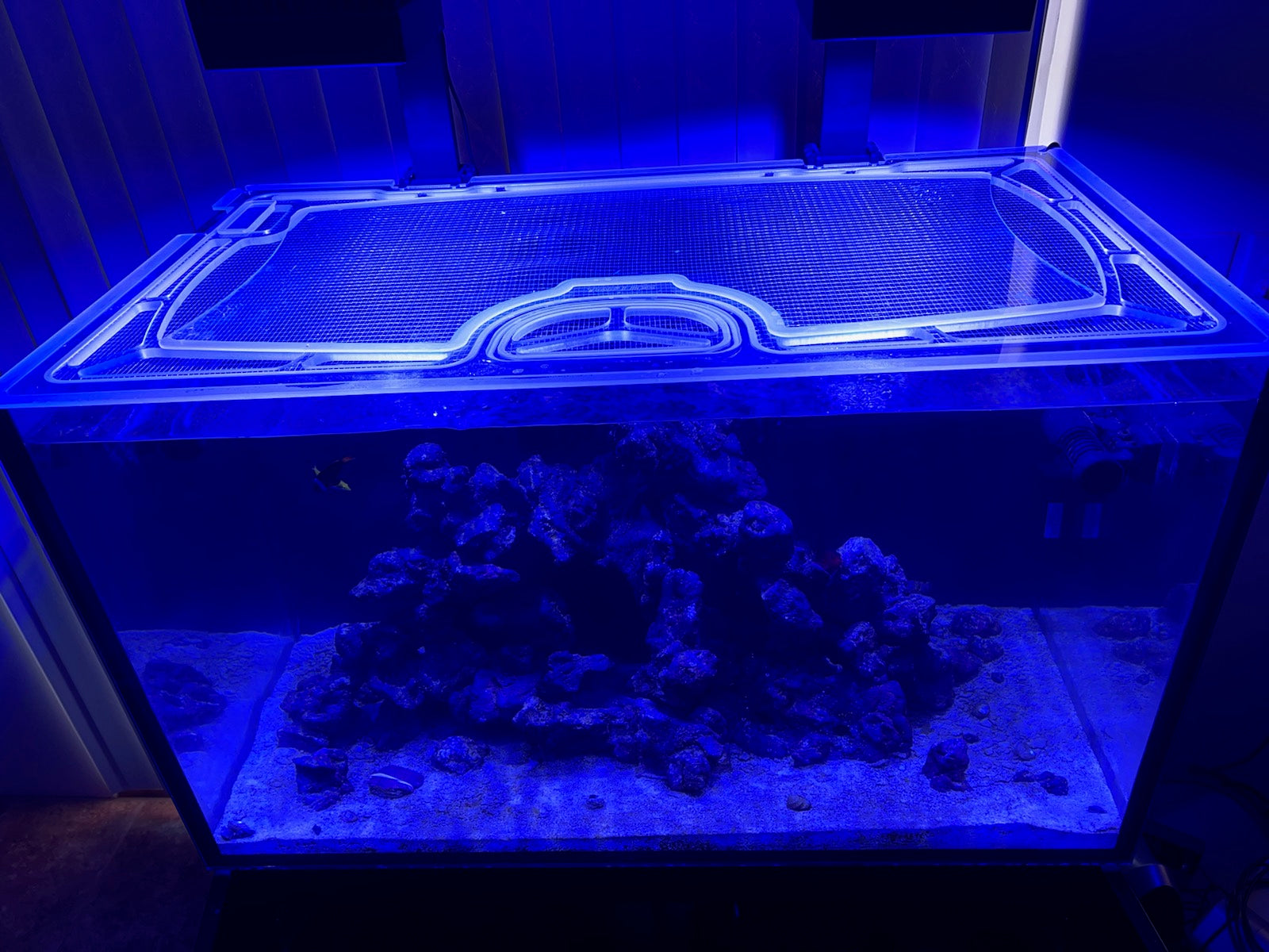 Maleri gips Datter Red Sea Reefer 250 Custom Polycarbonate Aquarium Screen Top Lid – Top Lids