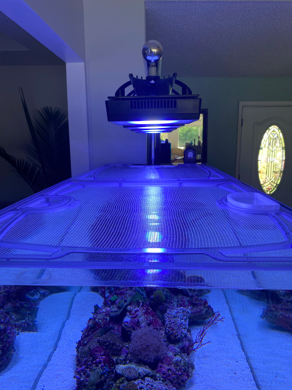 Pro Clear Aquatic Systems aquarium top lid product image 2