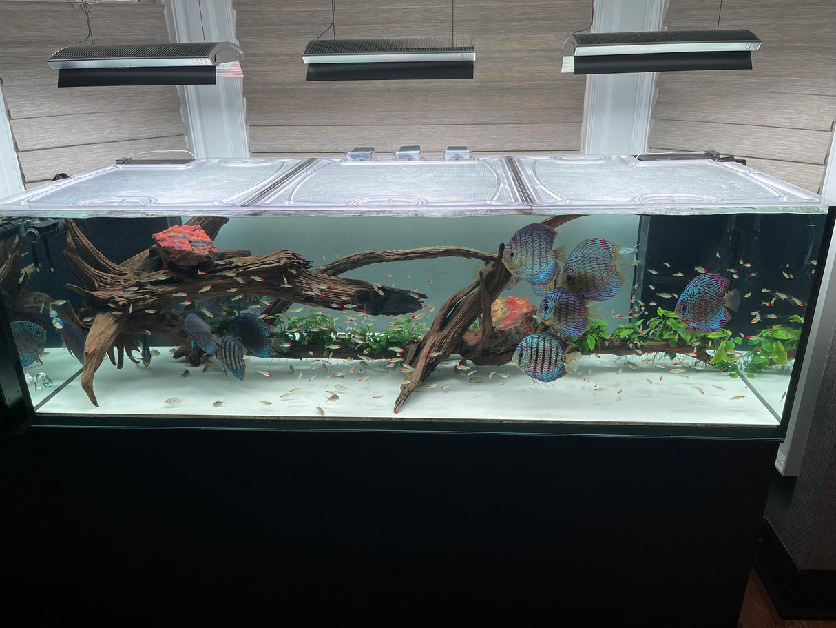 ELOS aquarium top lid product image 1