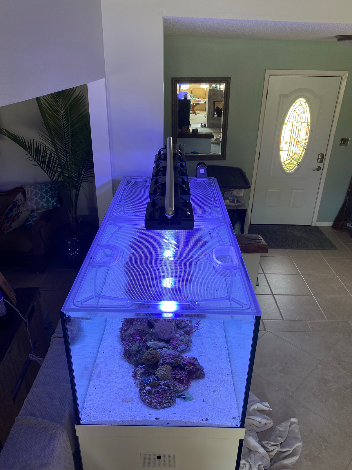 Pro Clear Aquatic Systems aquarium top lid product image 3