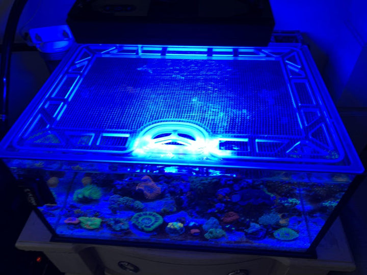 Innovative Marine NUVO 50 Lagoon Fusion Pro AIO Custom Polycarbonate Aquarium Screen Top Lid