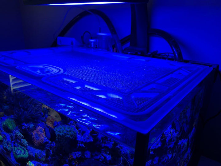 Innovative Marine NUVO 50 Lagoon Fusion Pro AIO Custom Polycarbonate Aquarium Screen Top Lid