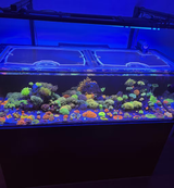 Innovative Marine NUVO 150 INT Custom Polycarbonate Aquarium Screen Top Lid
