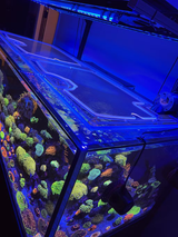 Innovative Marine NUVO 150 INT Custom Polycarbonate Aquarium Screen Top Lid