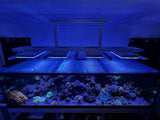 Planet Aquariums Mega Matrix Black Framed 84.5 x 30.5" (270 and 325 Gallon) Polycarbonate Screen Top Lid