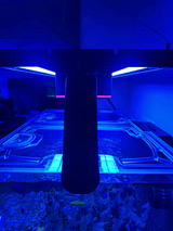 Planet Aquariums Tideline Crystaline 79 Gallon (36 x 24") External Reef Polycarbonate Screen Top Lid