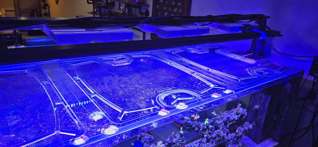 Waterbox Peninsula 7225 (Old Version) Custom Polycarbonate Aquarium Screen Top Lid