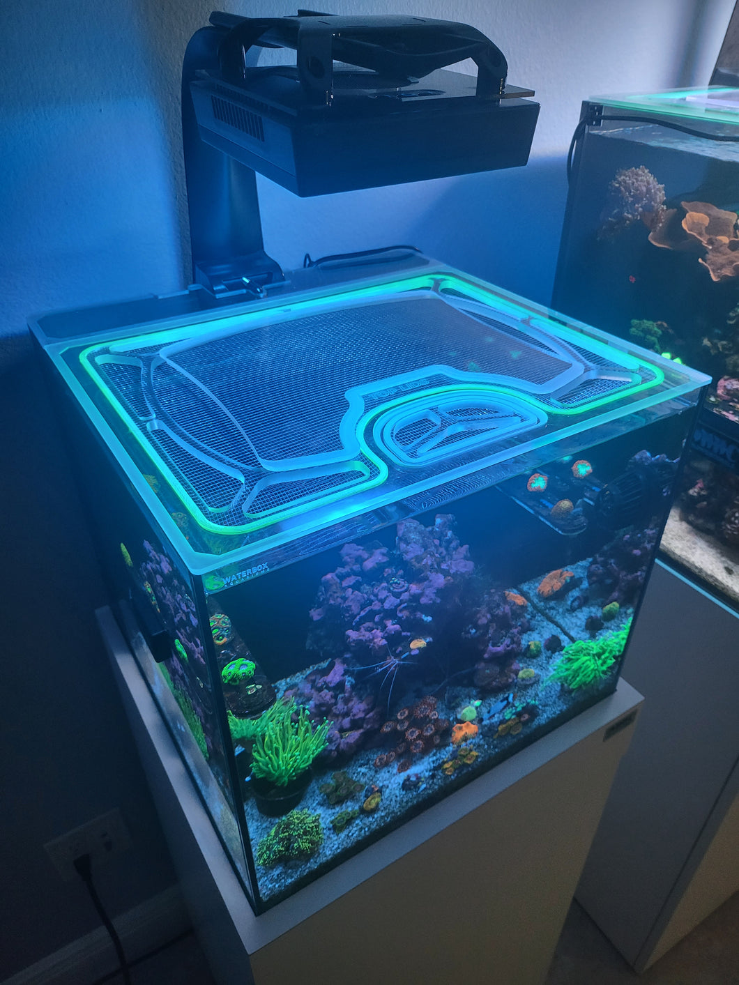 Waterbox Cube 20 Custom Polycarbonate Aquarium Screen Top Lid