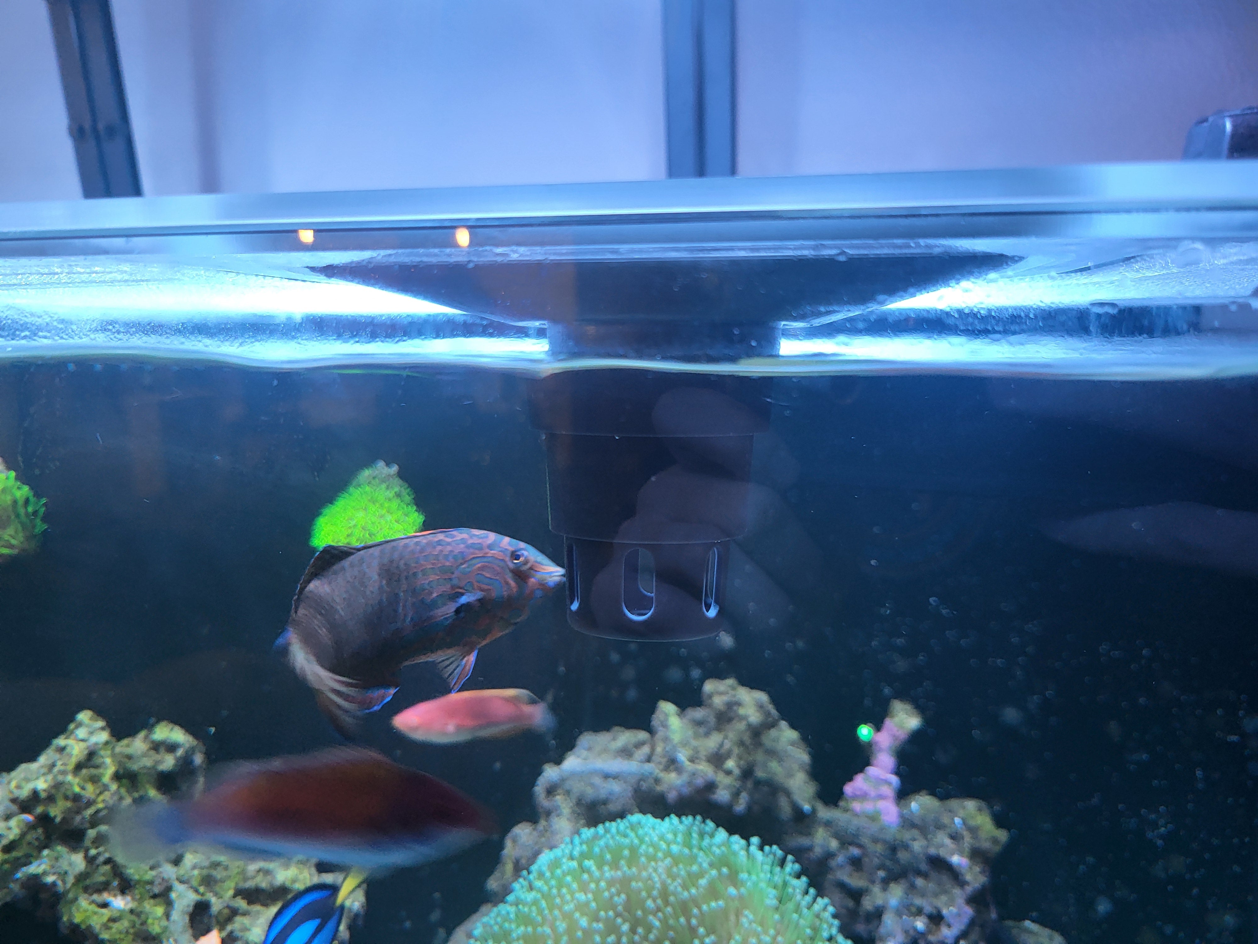 Top Lids aquarium top lid product image 4