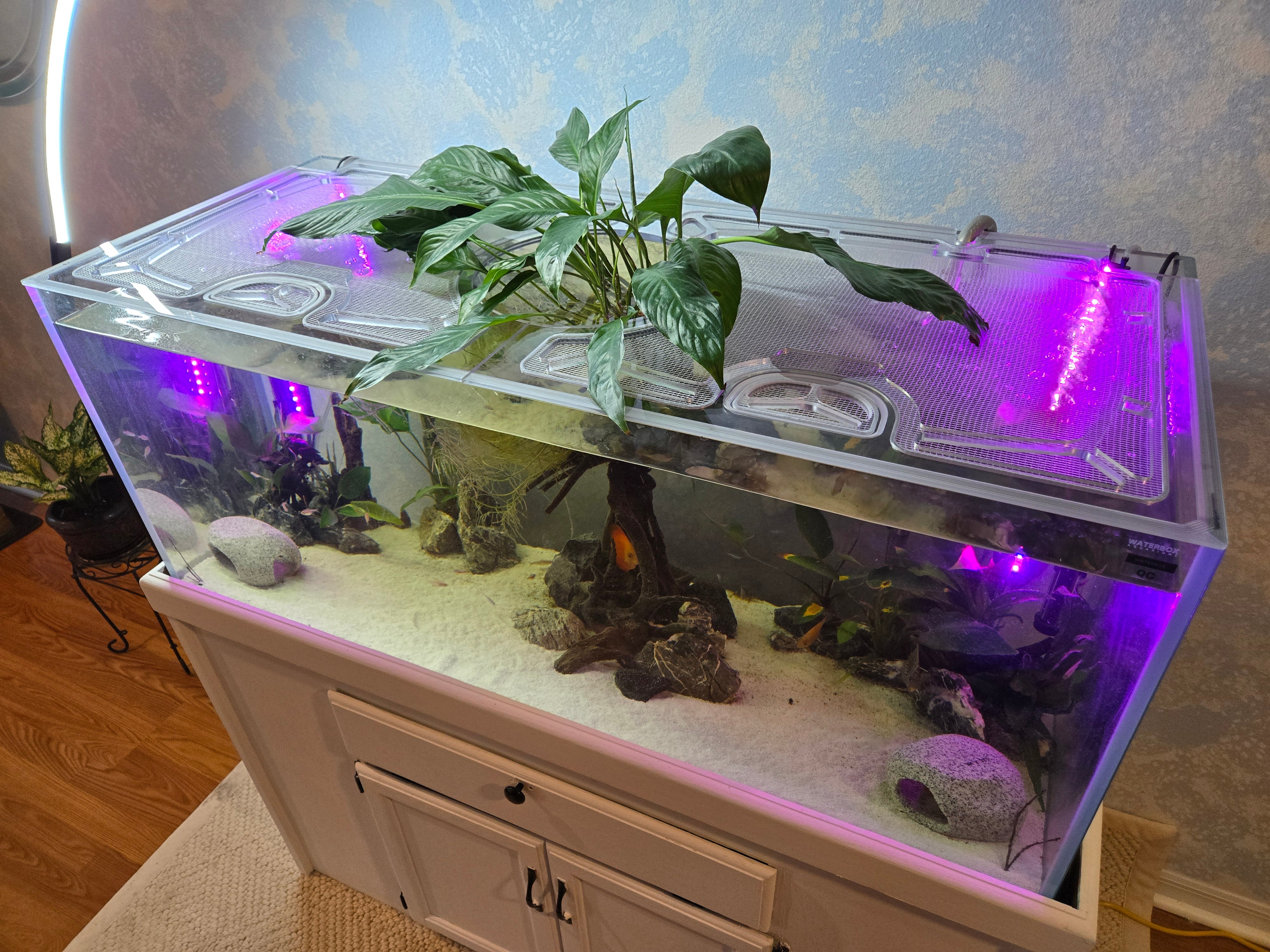 ADA Cube Garden 90P Aquarium Top Lid – Top Lids ADA Cube Garden 90P Aquarium Top Lid – Top Lids