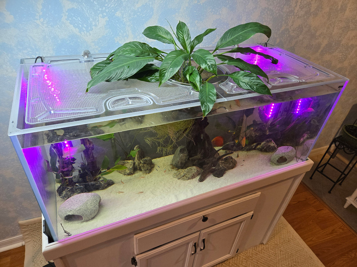 Waterbox Clear 4820 Custom Polycarbonate Aquarium Screen Top Lid