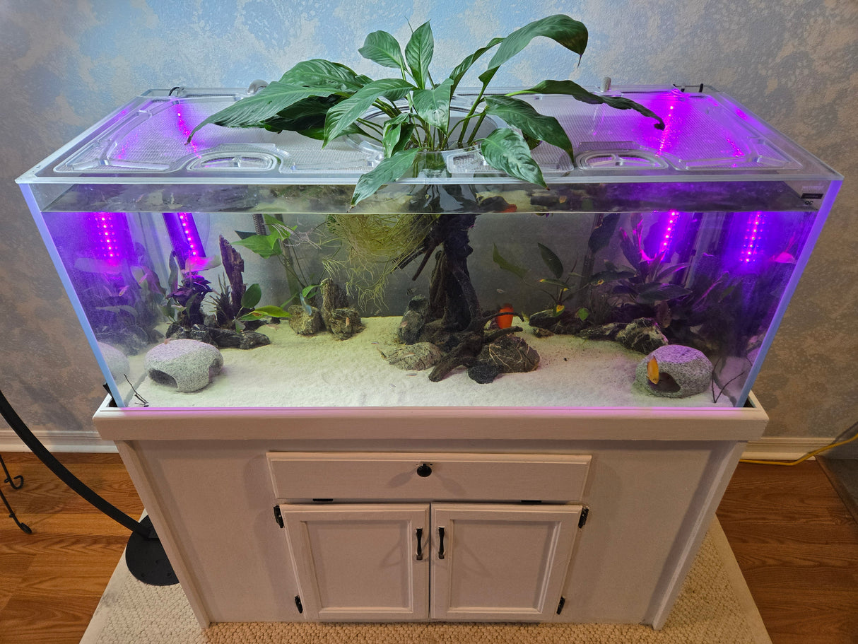 Waterbox Clear 4820 Custom Polycarbonate Aquarium Screen Top Lid