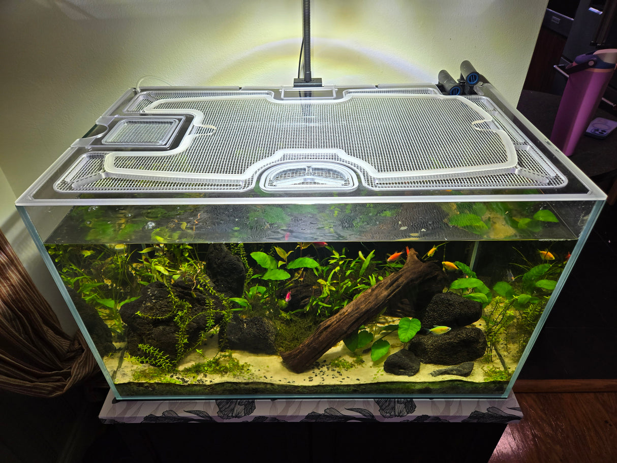 Waterbox Clear Mini 20 Custom Polycarbonate Aquarium Screen Top Lid