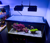 Planet Aquariums Mega Matrix Black Framed 36.5 x 18.5" (72 and 84 Gallon) Polycarbonate Screen Top Lid