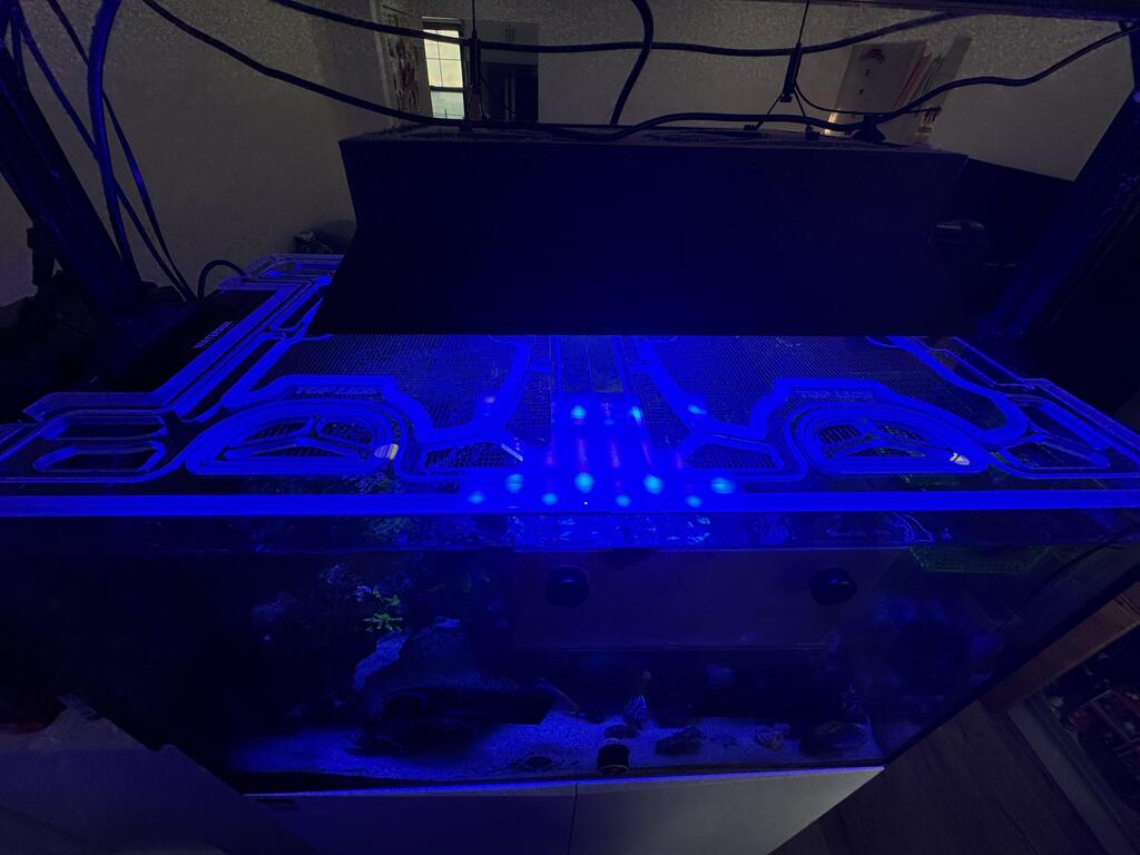 Waterbox Marine X 110.4 Peninsula Custom Screen Lid image 4