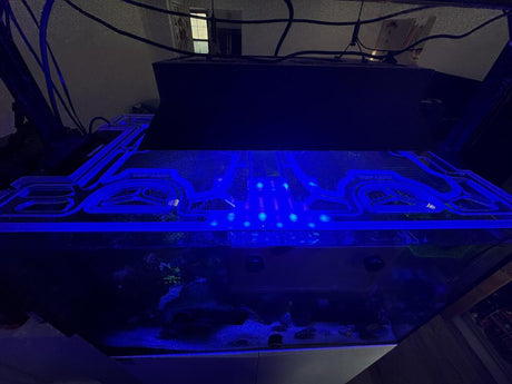 Waterbox Marine X 110.4 Peninsula Custom Screen Lid image 4