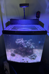 Coralife BioCube 29 and 32 Rimmed Version (with Black Frame) Polycarbonate Aquarium Screen Top Lid