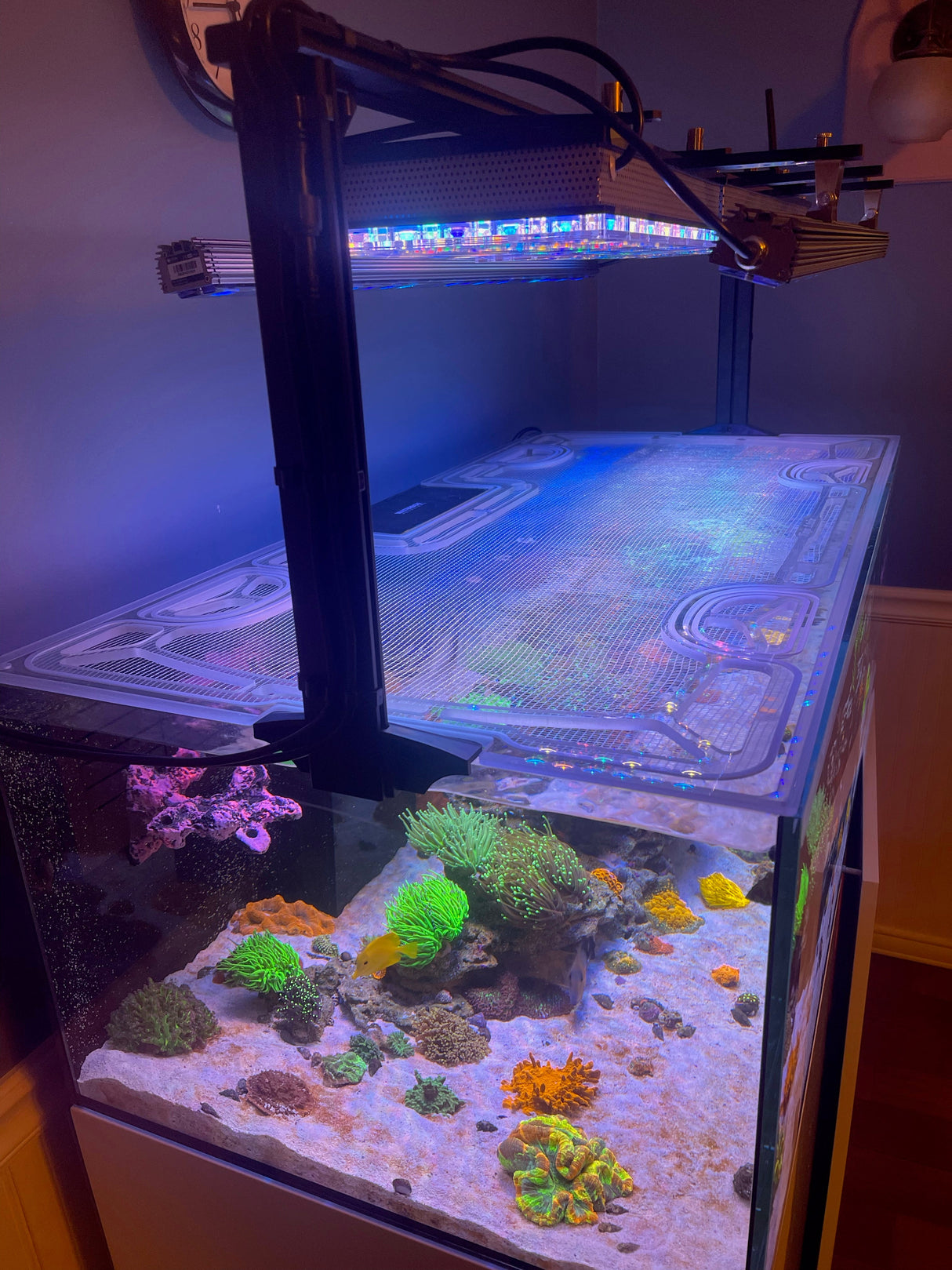 Waterbox Infinia Frag 125.4 Custom Polycarbonate Aquarium Screen Top Lid