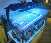 Load image into Gallery viewer, Waterbox Infinia Reef 150.4 Custom Polycarbonate Aquarium Screen Top Lid
