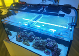 Waterbox Infinia Reef 150.4 Custom Polycarbonate Aquarium Screen Top Lid