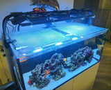 Waterbox Infinia Reef 150.4 Custom Polycarbonate Aquarium Screen Top Lid