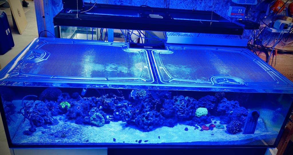 Waterbox Infinia Frag 155.5 Custom Polycarbonate Aquarium Screen Top Lid