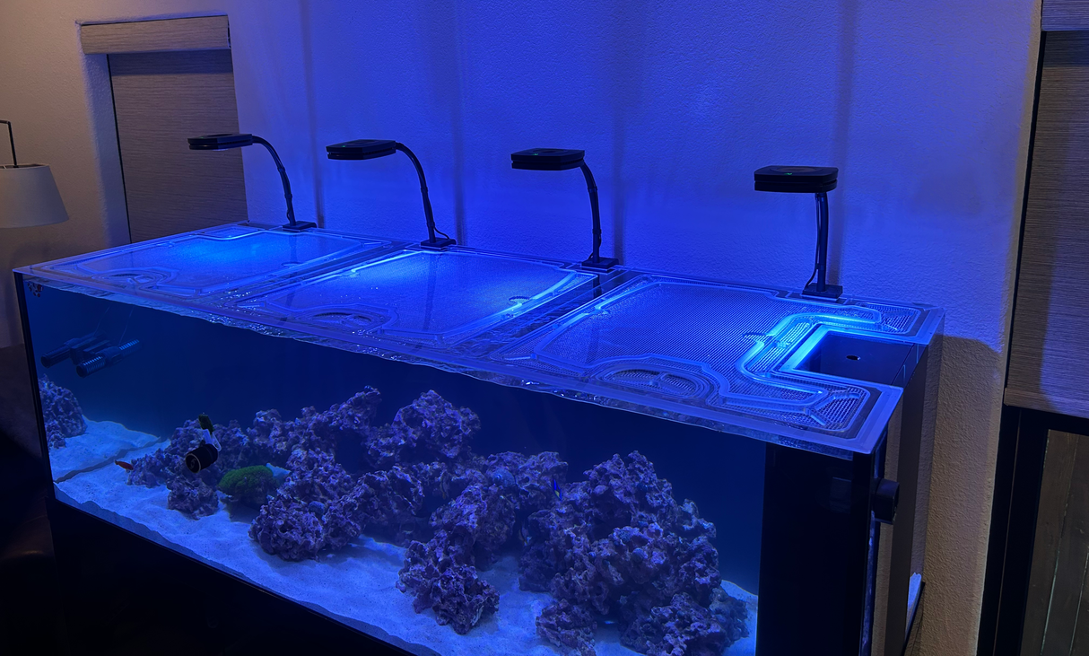 Neptunian Cube PM-180 Peninsula Marine Polycarbonate Screen Top Lid