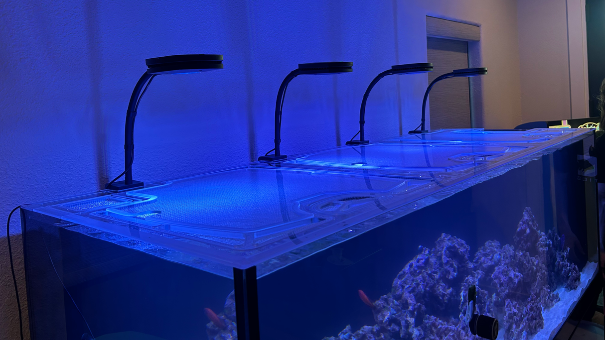 Neptunian Cube PM-180 Peninsula Marine Polycarbonate Screen Top Lid