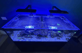 Planet Aquariums Tideline Crystaline 79 Gallon (36 x 24") External Reef Polycarbonate Screen Top Lid