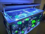 Red Sea Max-S 650 Custom Polycarbonate Aquarium Screen Top Lid