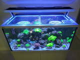 Red Sea Max-S 650 Custom Polycarbonate Aquarium Screen Top Lid