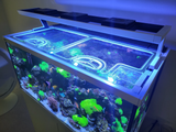 Red Sea Max-S 500 Custom Polycarbonate Aquarium Screen Top Lid