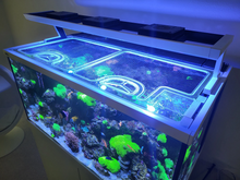 Load image into Gallery viewer, Red Sea Max-S 650 Custom Polycarbonate Aquarium Screen Top Lid
